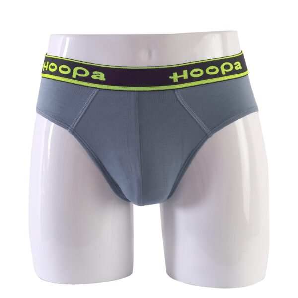 Hoopa Mens Brief